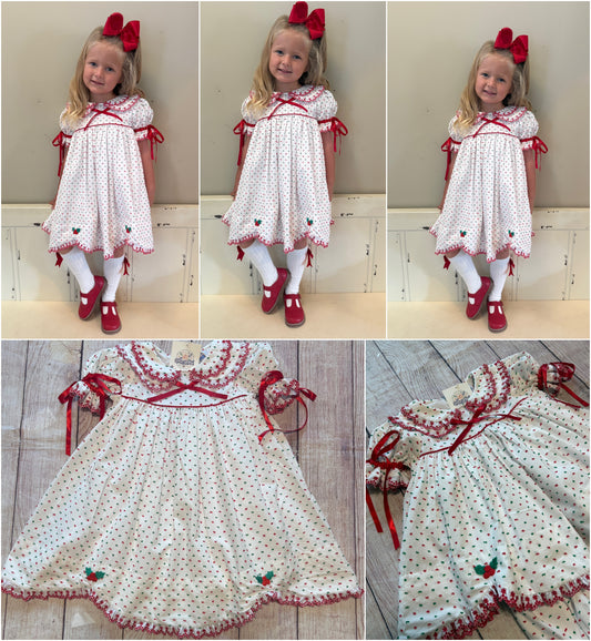 RED & GREEN SWISS DOT DRESS (FULLY LINED)